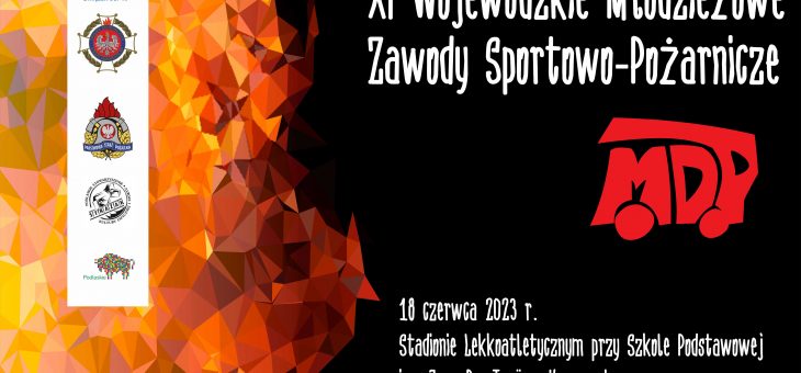 XI Wojewódzkie Młodzieżowe Zawody Sportowo-Pożarnicze w Krasnopolu